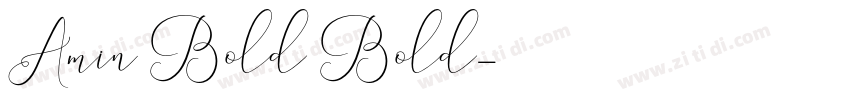 Amin Bold Bold字体转换